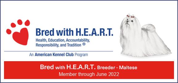 AKC Breed with Heart Program